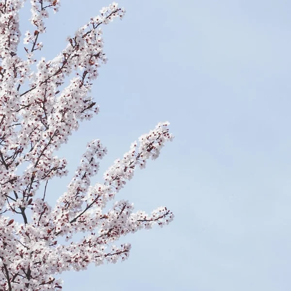 博业体育棋牌游戏